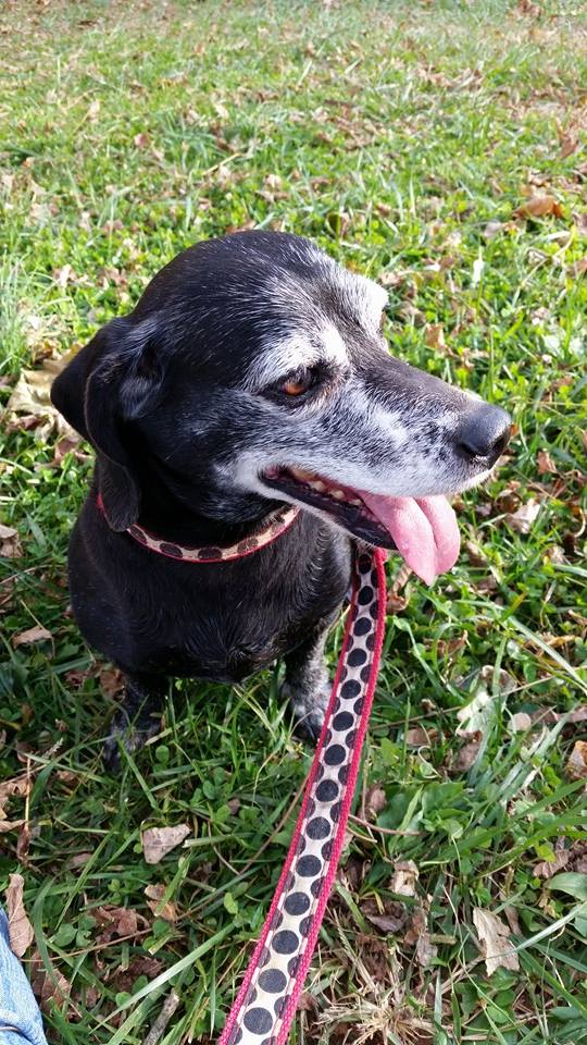 Fun Friday - Candid Phottography