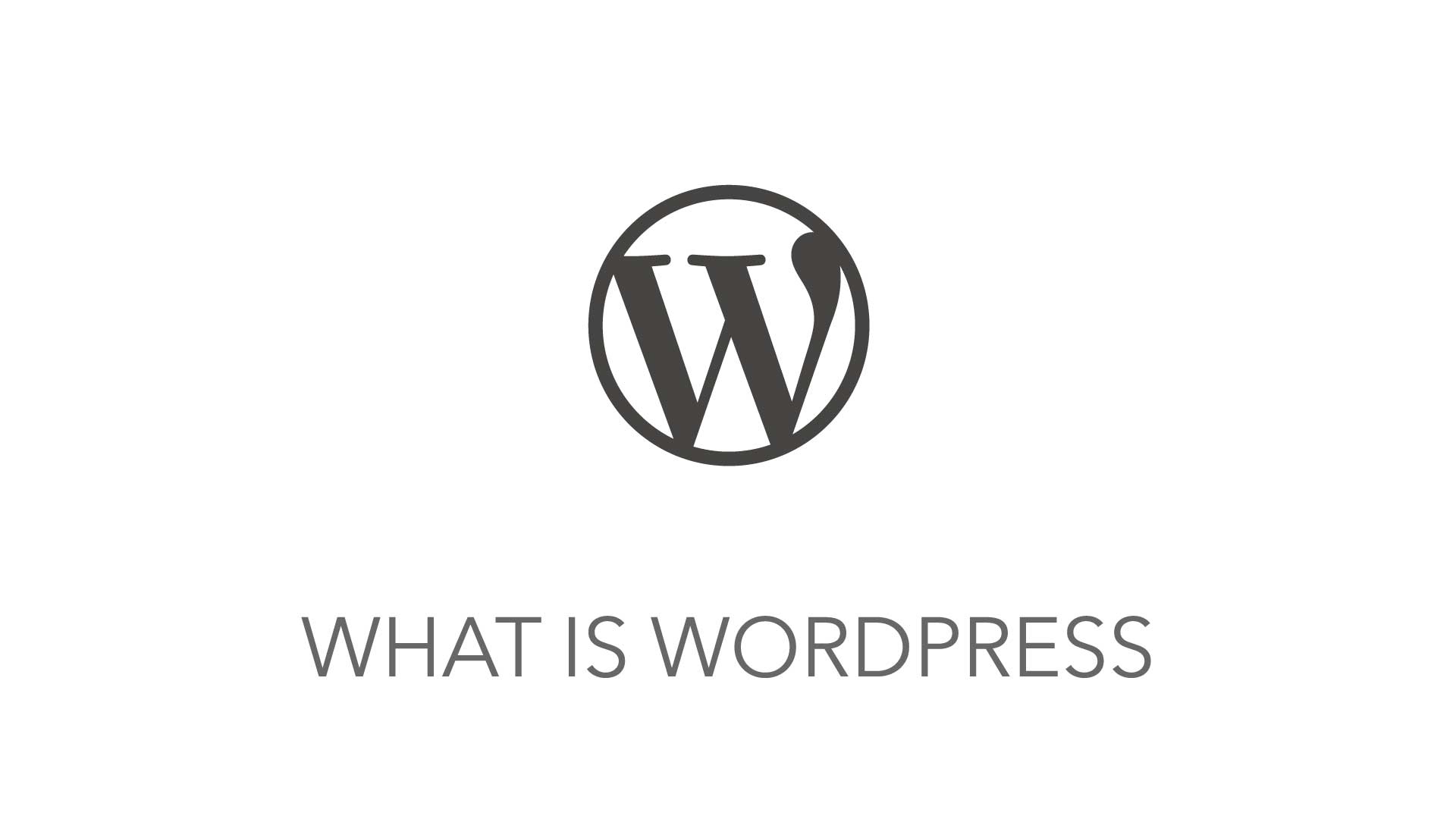 What is WordPress